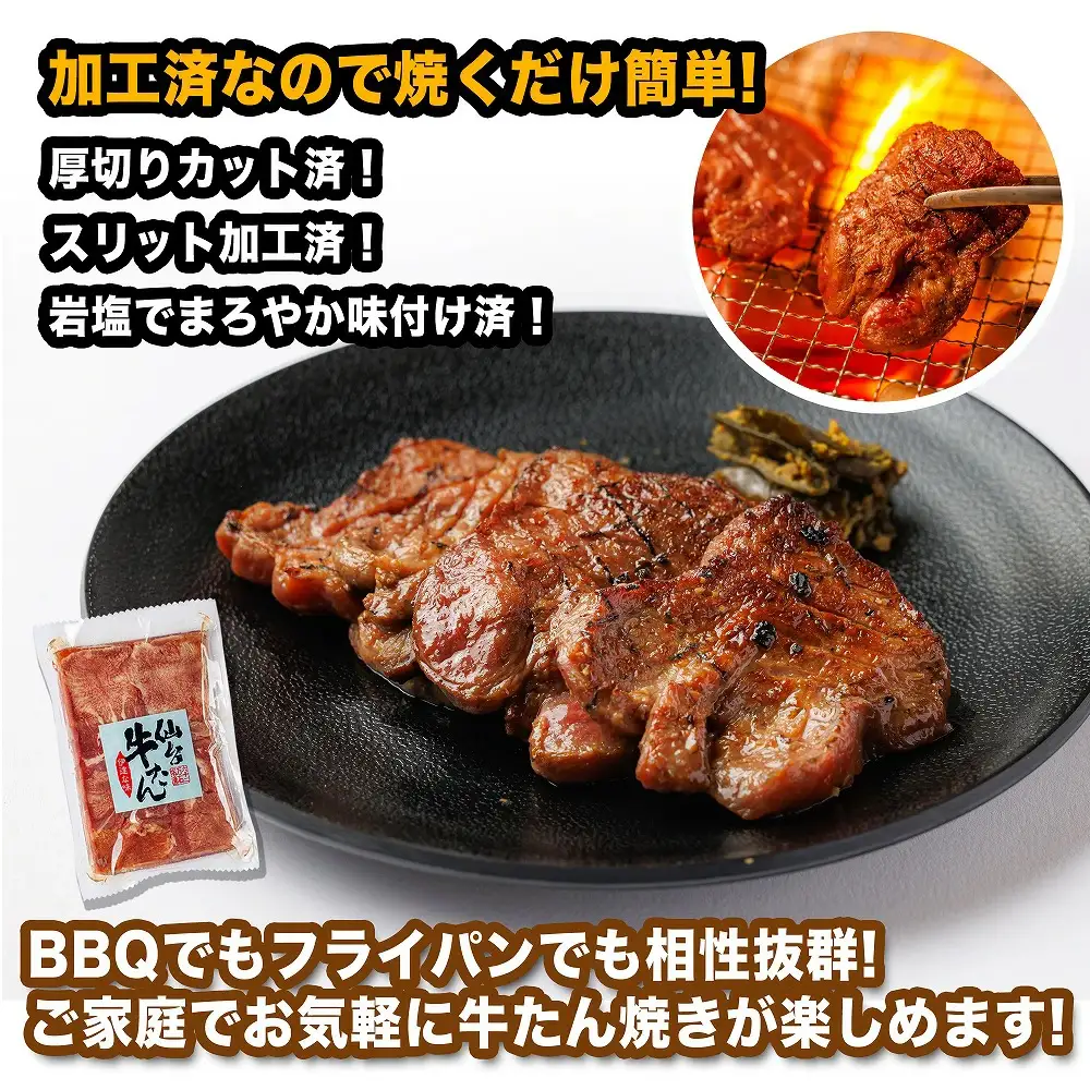 【5か月定期便】仙台牛たん伊達な味（塩）　250g×2パック　【04209-0442】