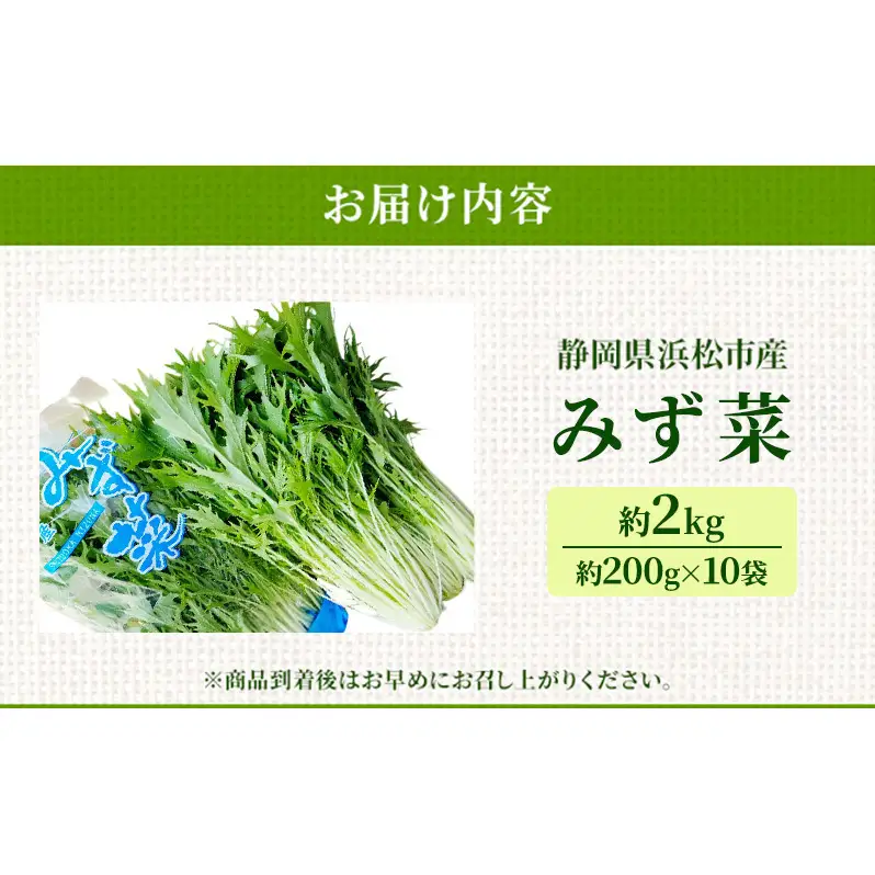 浜松市産 みず菜 約2kg（約200g×10袋）水菜 サラダ 野菜 キョウナ 京菜 ヒイラギナ 柊菜 センスジナ 千筋菜 静岡 浜松市【配送不可：離島】