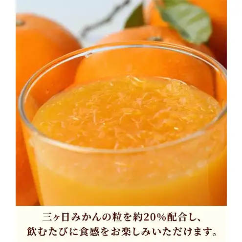 JAみっかび 三ヶ日みかん粒入りドリンク 1本190g×24本 みかん 飲むみかん うんしゅう 温州みかん 果汁50％ 果粒入 つぶつぶ食感 贅沢みかん 静岡 浜松市