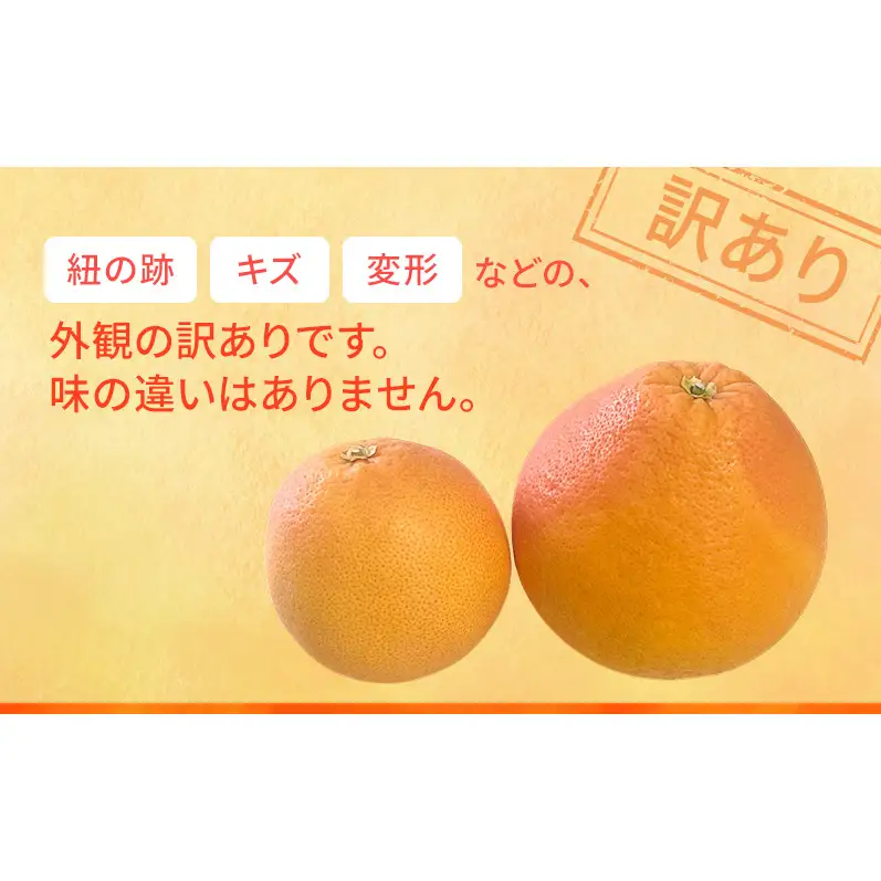 【2027年4月上旬より順次発送】【訳あり】静岡県浜松市産グレープフルーツ 約2.5kg（5～12個） 果物 くだもの フルーツ 果物類 柑橘類 旬のフルーツ 季節の果物 静岡 浜松市