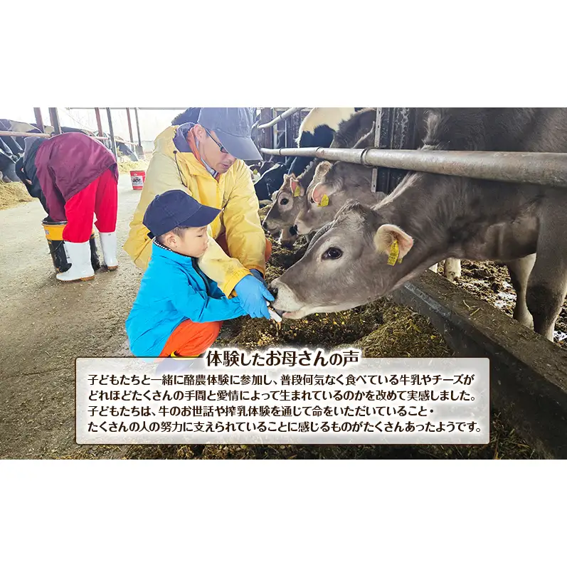 酪農体験チケット 大人・子供 各1名 【 体験チケット 酪農 北海道 幕別町 牛 搾乳 牧場 自然 】