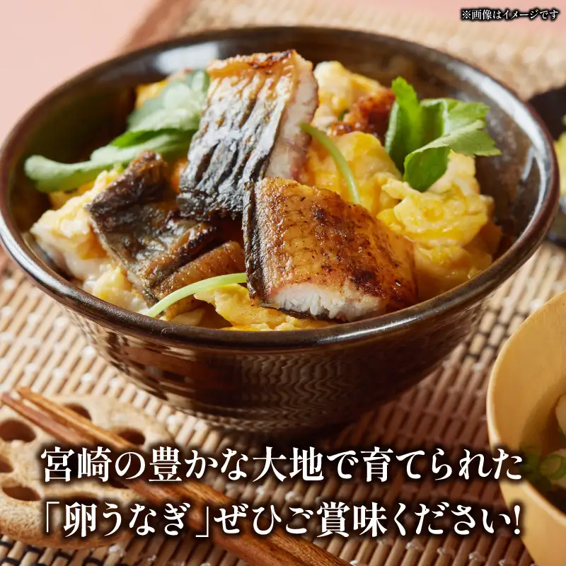 うなぎ 蒲焼 4袋 うなぎ[鰻 卵うなぎ カット 備長炭 計400g]