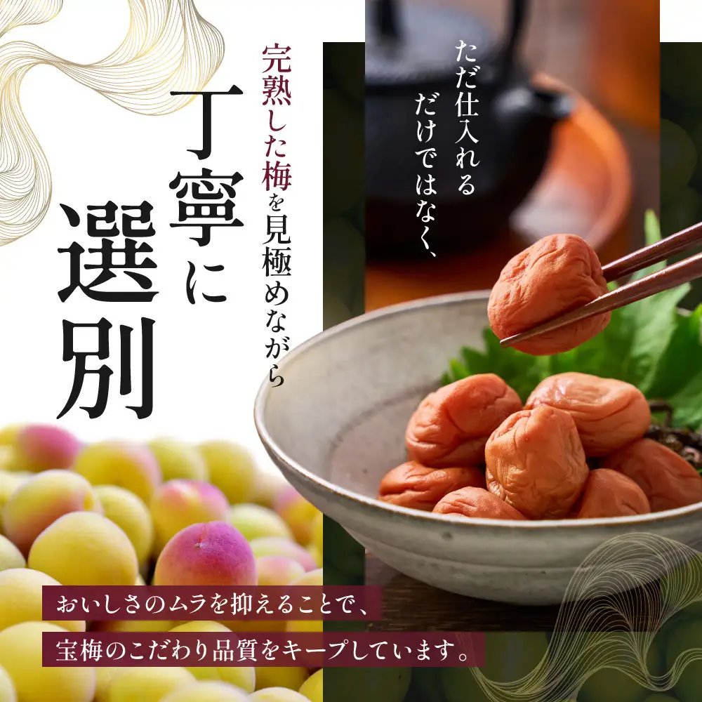 メディア掲載実績多数 宝梅 「結」 うすしお味 450g 塩分5% 紀州南高梅