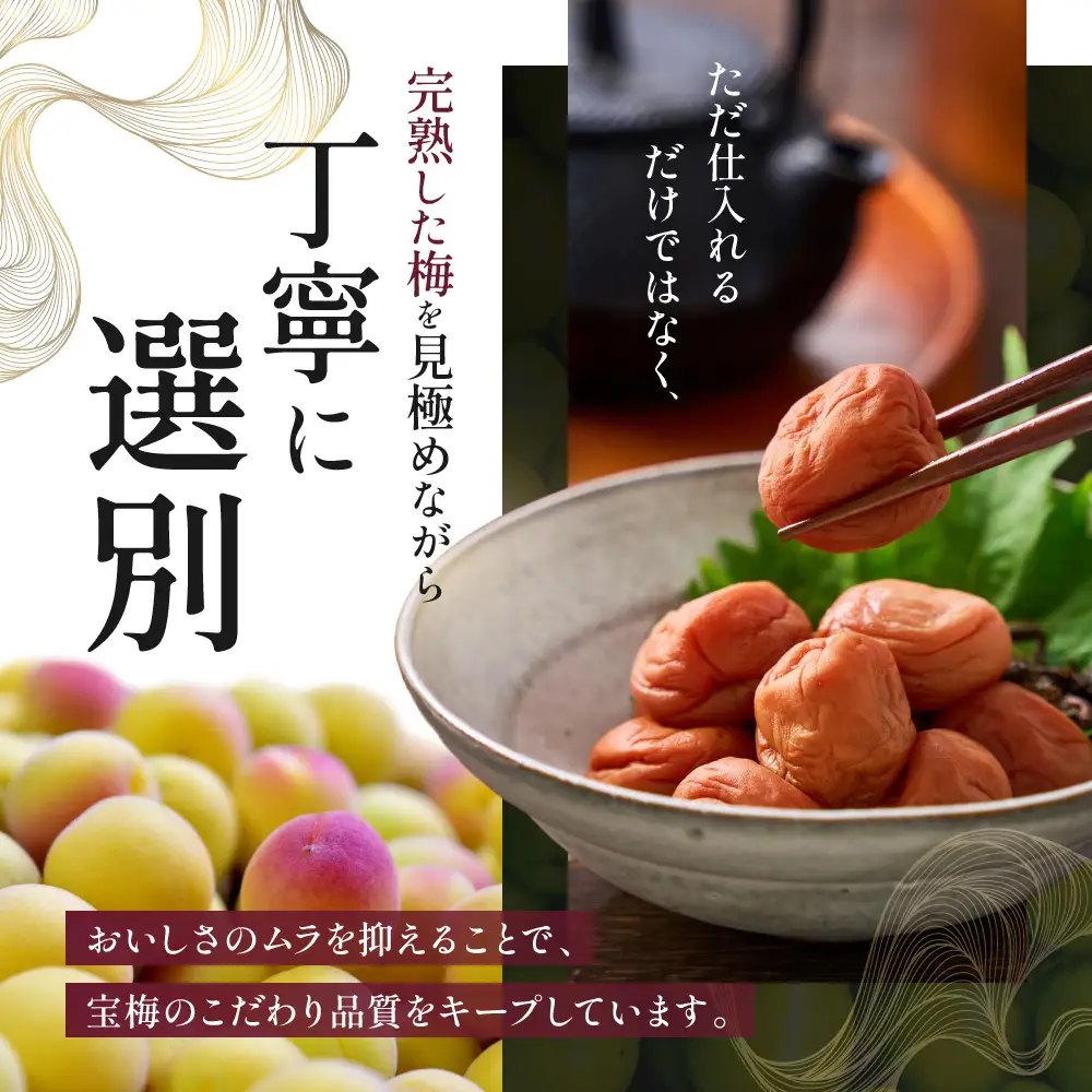 メディア掲載実績多数 宝梅 「結」 蜂蜜入り 450g 塩分約10% 紀州南高梅