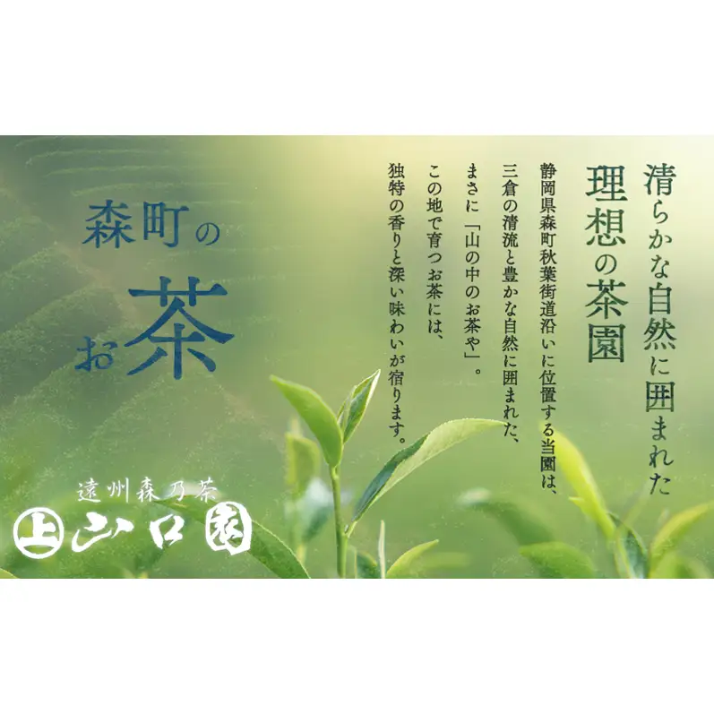 森の茶上煎茶 かおり 100g×3袋 煎茶 緑茶 茶葉 静岡県 森町 【配送不可：離島】
