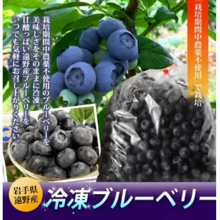 遠野で育った 大粒 冷凍 ブルーベリー Lサイズ 1kg【配送不可地域：離島】【1333274】