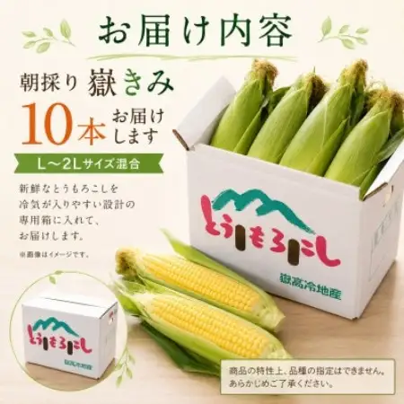 とうもろこし 朝採り 嶽きみ(だけきみ) 10本 L～2Lサイズ 冷蔵【配送不可地域：離島・沖縄県・九州】【1757166】