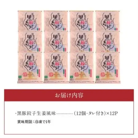 鹿児島黒豚餃子生姜風味12P(計144個)【配送不可地域：離島】【1728768】