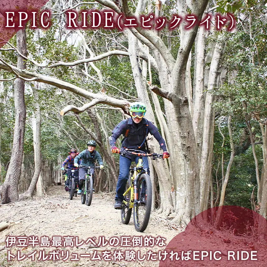 中級者 上級者向き 伊豆 マウンテンバイクツアー ガイド付き