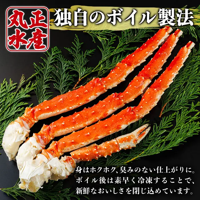 ボイル タラバガニ(約1kg・5L)カニ フレーク 付き 蟹 冷凍 かに たらばがに 蟹しゃぶ 蟹鍋 天ぷら ぞうすい 味噌汁 脚肉 足 海鮮 肩 【AW-117】【丸正水産】