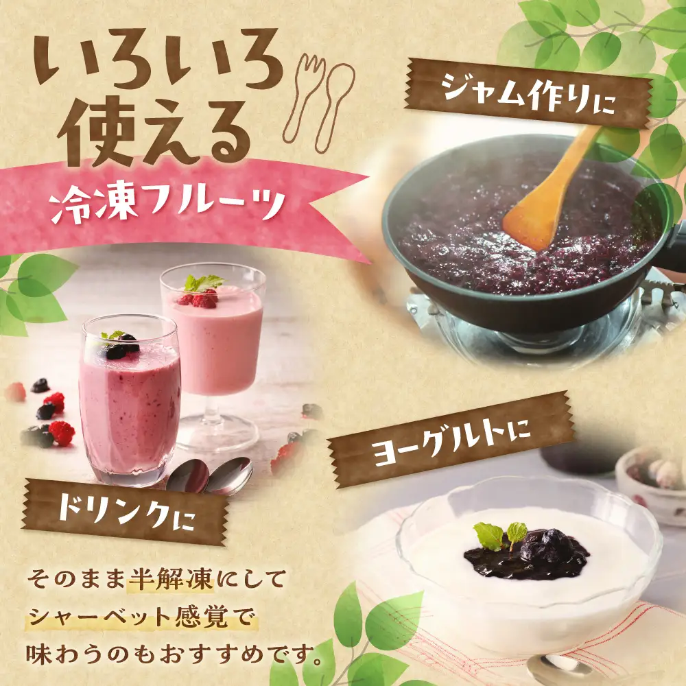 【2026年発送！】とかちしみずフルーツガーデンの冷凍プラム1.2kg 北海道産 プラム 産地直送 果物  冷凍フルーツ 北海道_S009-0019