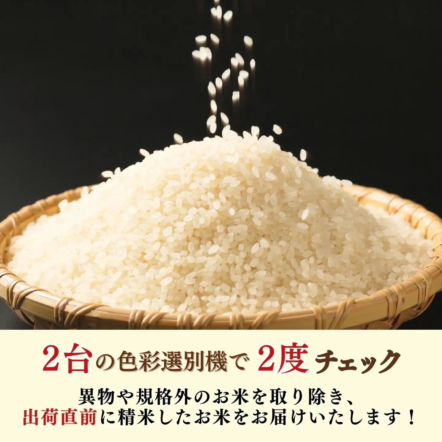 《2026年12月開始》【定期便10㎏×3回】にじのきらめき 精米 瑞穂 豊米 