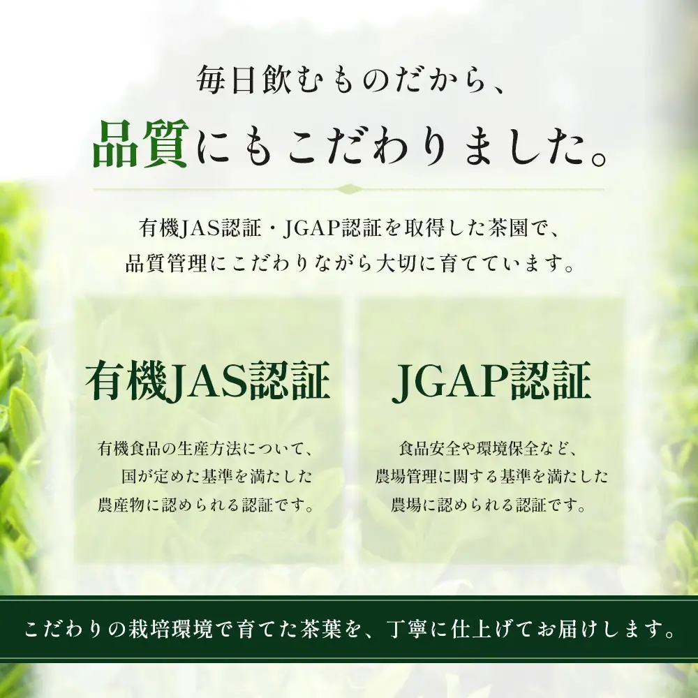 本土最南端の有機緑茶　「多喜隆」80g×3袋（ギフト対応可）HK-34｜ お茶 緑茶 煎茶 リーフ茶 茶葉 鹿児島茶 有機JAS オーガニック JAS有機 有機栽培 GAP認証 JGAP やぶきた ゆたか あさつゆ ブレンド茶 ノウフク ギフト 贈り物 贈答用 プレゼント 農福連携　鹿児島県 南大隅町 第2花の木ファーム