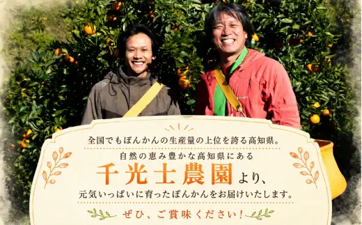家庭用ポンカン高知県産 ポンカン 5kg