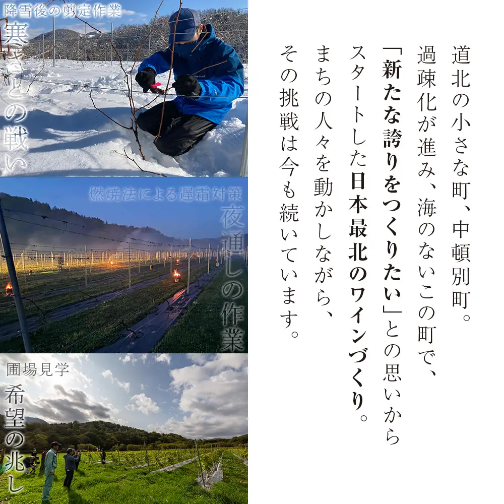 【数量限定】中頓別町〈北の兆し〉山幸2025 赤ワイン1本