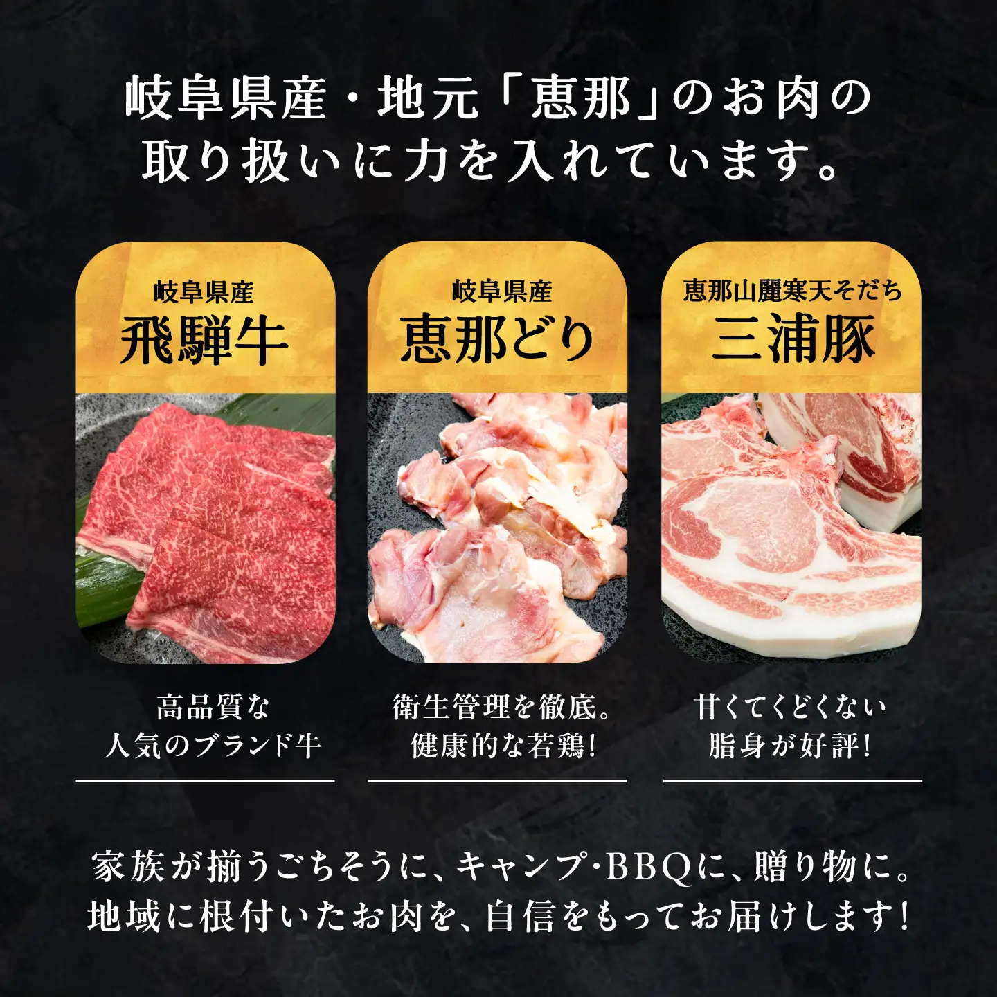 三浦豚カレー 4個セット (230g×4個) / カレー 三浦豚 レトルトカレー セット 恵那市 / 岩島屋[AUAJ057]