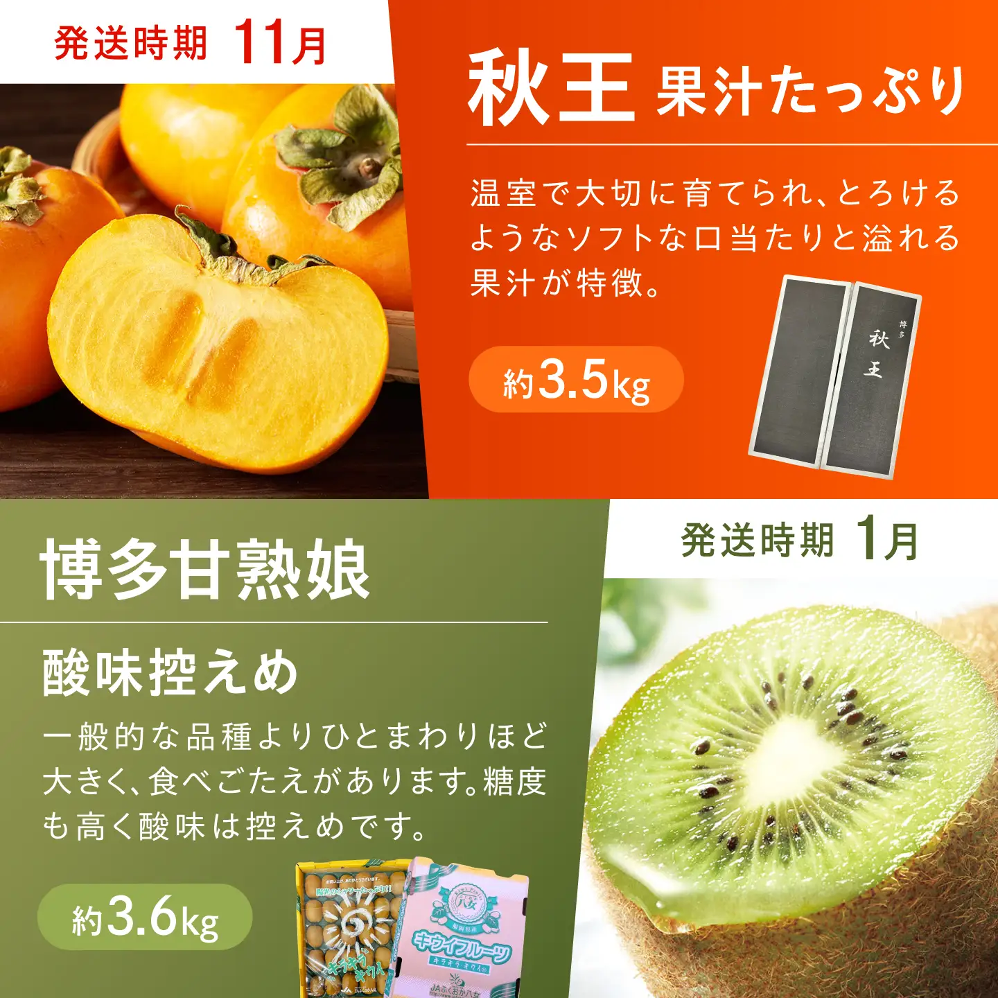 【6回定期便】フルーツ定期便（あまおう/びわ/桃/ぶどう/柿/キウイ） 広川町 / JAふくおか八女農産物直売所どろや[AFAB117]