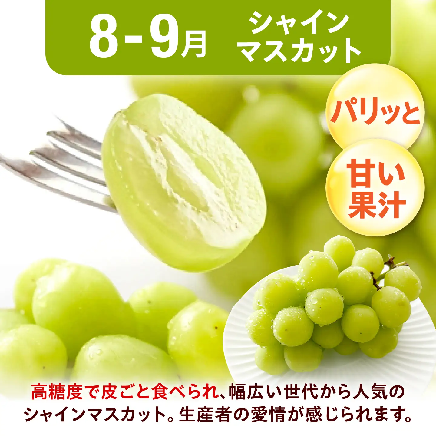 【3回定期便】フルーツ定期便（ぶどう/シャインマスカット/キウイ） 広川町 / JAふくおか八女農産物直売所どろや[AFAB126]