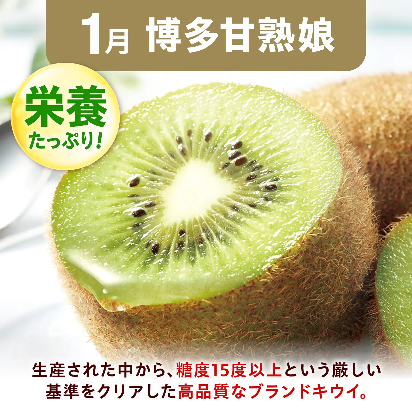 【3回定期便】フルーツ定期便（柿/キウイ/あまおう） 広川町 / JAふくおか八女農産物直売所どろや[AFAB128]