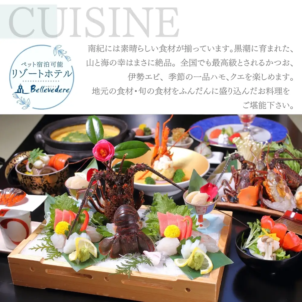 ホテルベルヴェデーレ 宿泊クーポン 60,000円分 宿泊チケット リゾートホテル 和歌山 紀南 南紀 観光【iki111】 