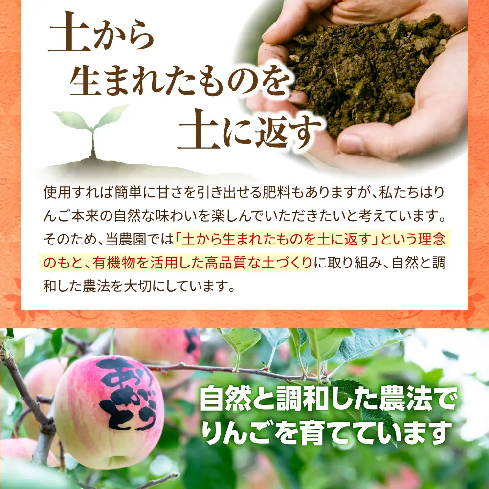 ぐんま名月　【先行受付】 りんご 約3kg訳あり 青森県五所川原市 11月中旬以降発送 ぐんま名月