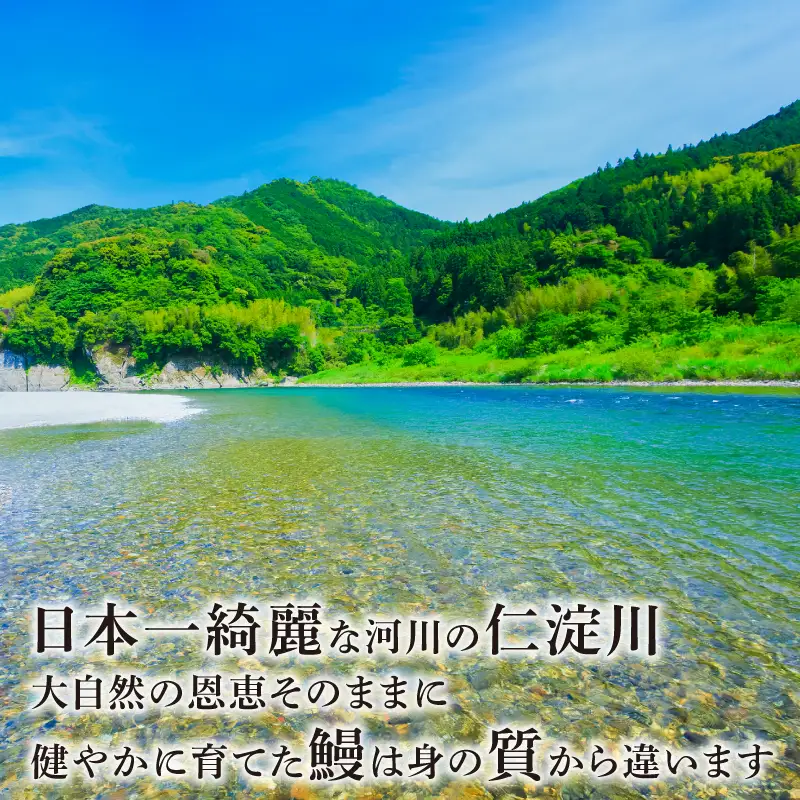 鰻 蒲焼 1尾 セット 土佐料理司