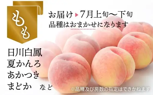 【ふるなび限定】フルーツ 食べ比べ 4kg 桃 ぶどう 定期便 フルーツ FN-Limited-WE