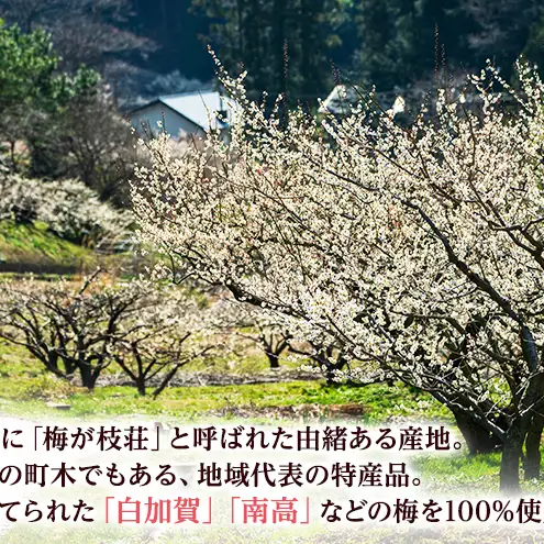 大河原産 昔ながらのすっぱいしそ梅干し 270g 20個セット ご飯のお供に 梅干し 梅干 うめぼし ウメボシ 梅 ごはんのお供 ご飯のお供 おにぎり 弁当 お弁当