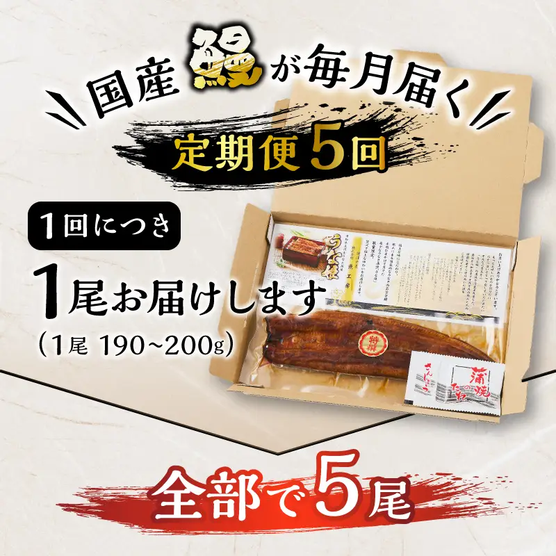 【定期便 5回】特選 国産うなぎ蒲焼定期便 約190g×5回 (a60-043)