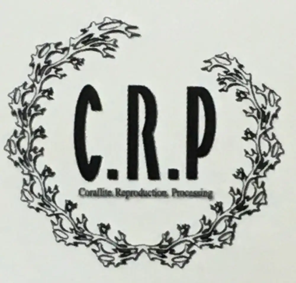 C.R.P加工毛布 マイヤー毛布 【ダブル】 ベージュ 1枚 (ニューマイヤー毛布) 11755W | 温泉毛布 防寒 寒さ対策 節電対策 快眠 洗濯可能