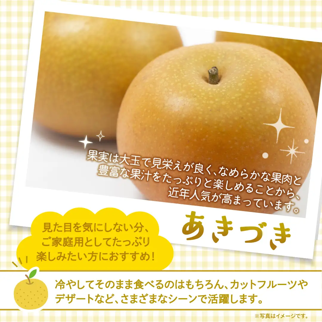 ＜ 訳あり ＞ あきづき 約5kg 【2026年10月より発送開始】（茨城県共通返礼品 [梨]：大子町産）