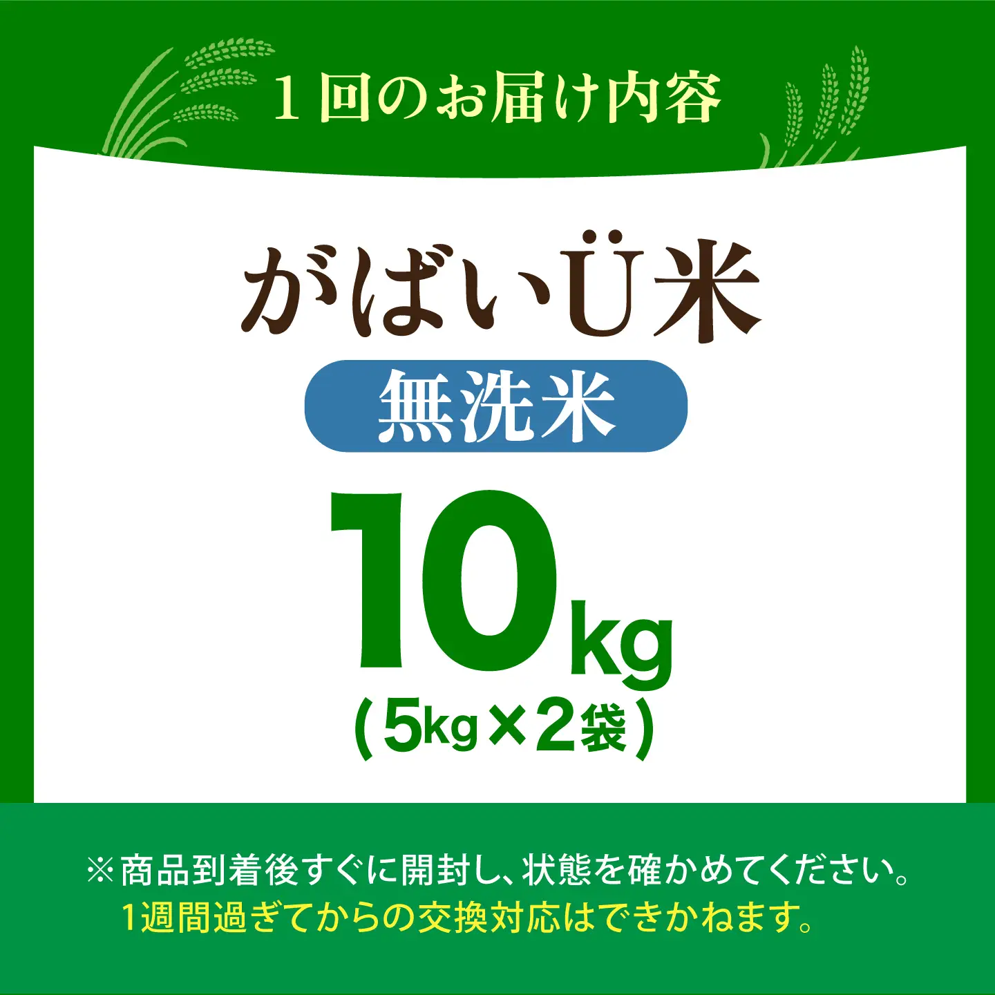 【全12回定期便】がばいU米（うまい）無洗米 10kg 【大塚米穀店】[HBL160]