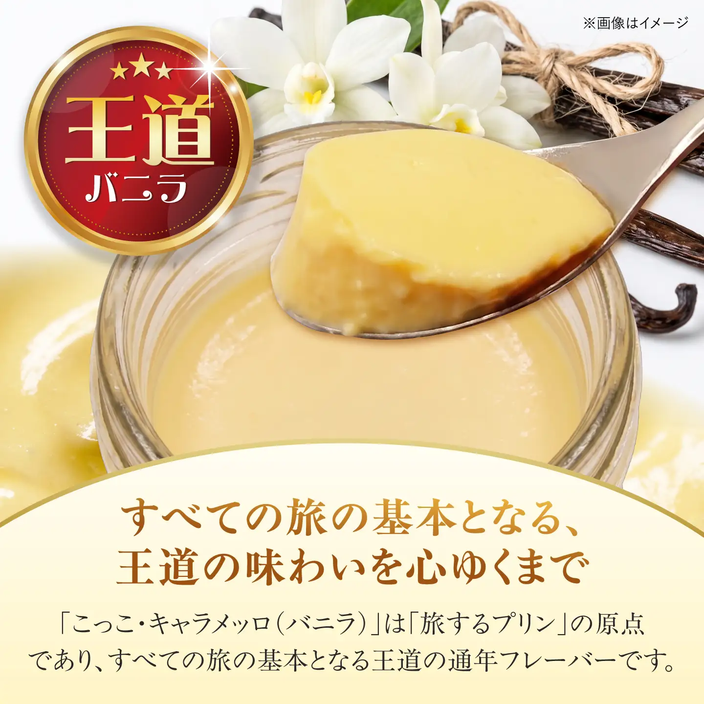 【旅するプリン】 こっこ・キャラメッロ （バニラ） 6個 【有限会社いけがみ】[HDM001]