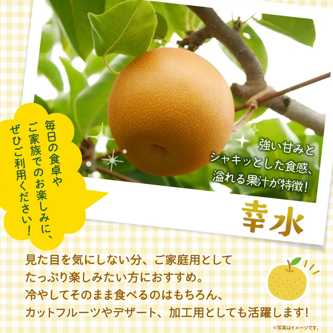 ＜ 訳あり ＞ 幸水 約5kg 【2026年8月より発送開始】（茨城県共通返礼品 [梨]：大子町産）
