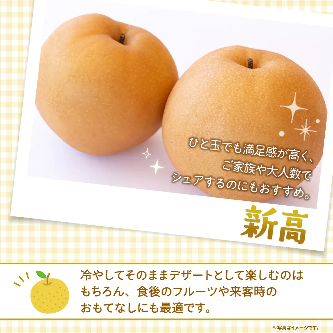 ＜ 訳あり ＞ 新高 約5kg 【2026年10月より発送開始】（茨城県共通返礼品 [梨]：大子町産）