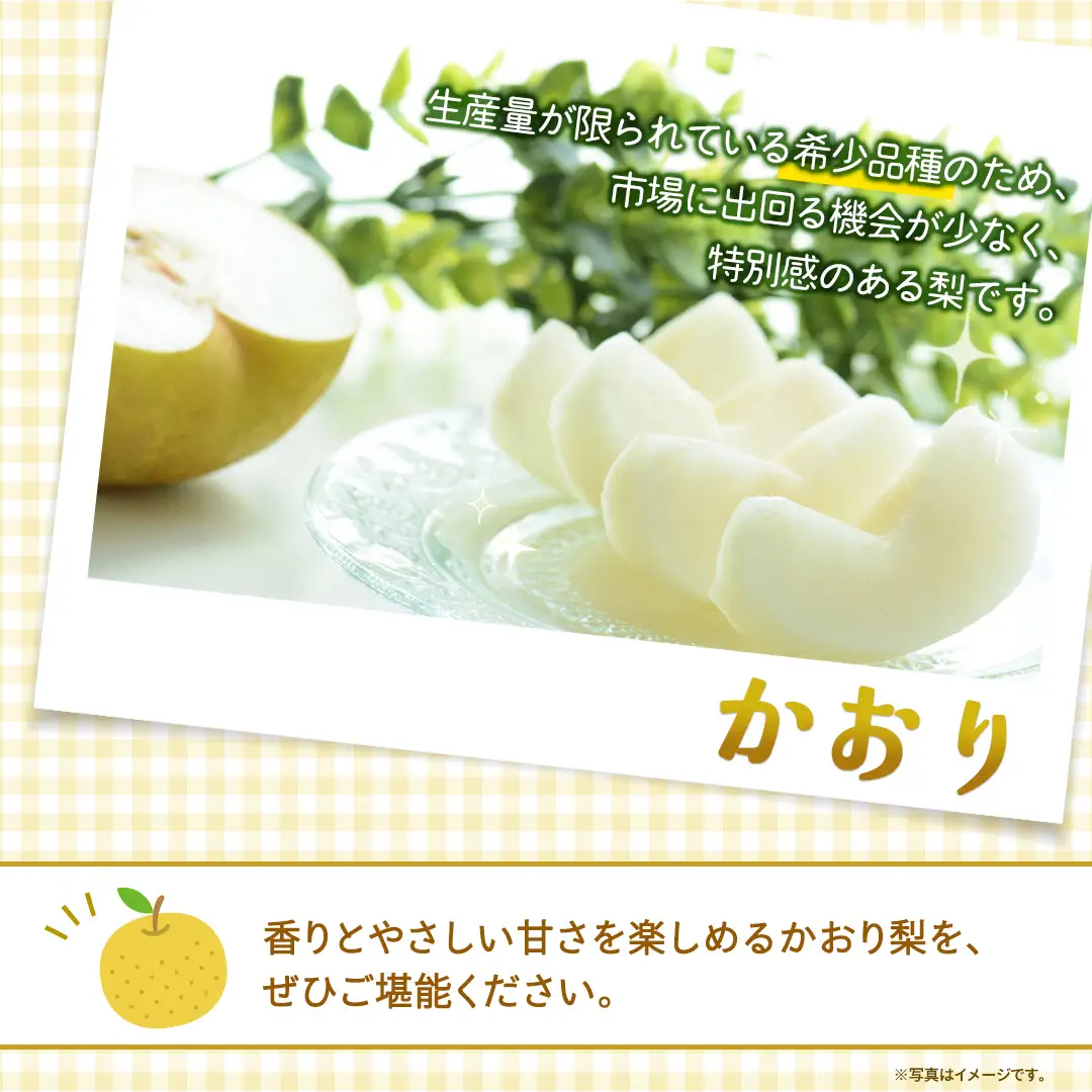 ＜ 訳あり ＞ かおり 約5kg 【2026年9月より発送開始】（茨城県共通返礼品 [梨]：大子町産）