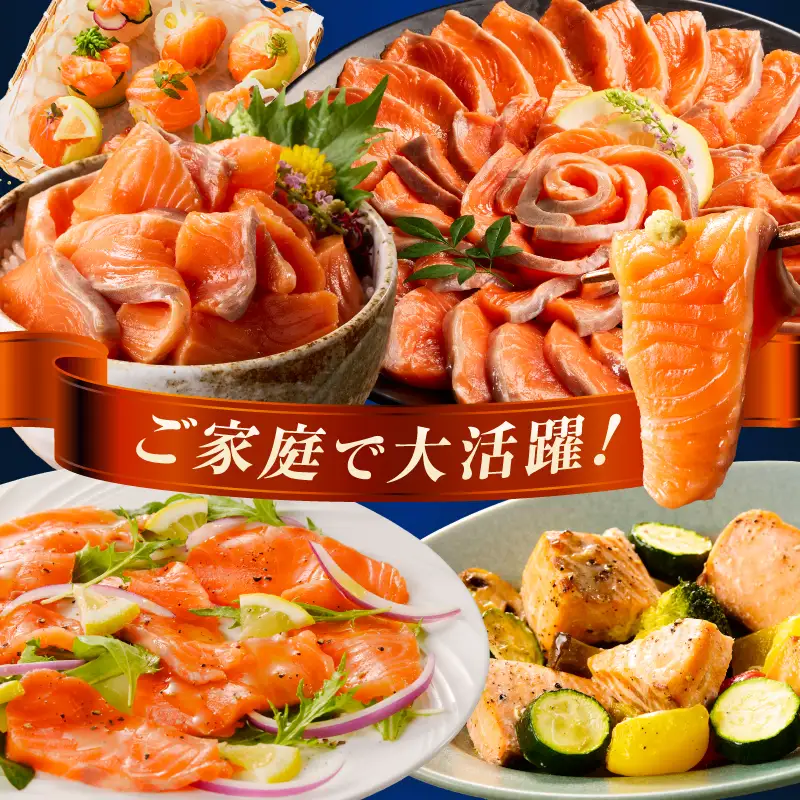 サーモン 訳あり 銀鮭 サーモン [刺身 1kg]