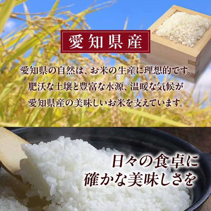 【令和８年産 先行予約】あいちのかおり（精米）15kg（11月発送）（3778）