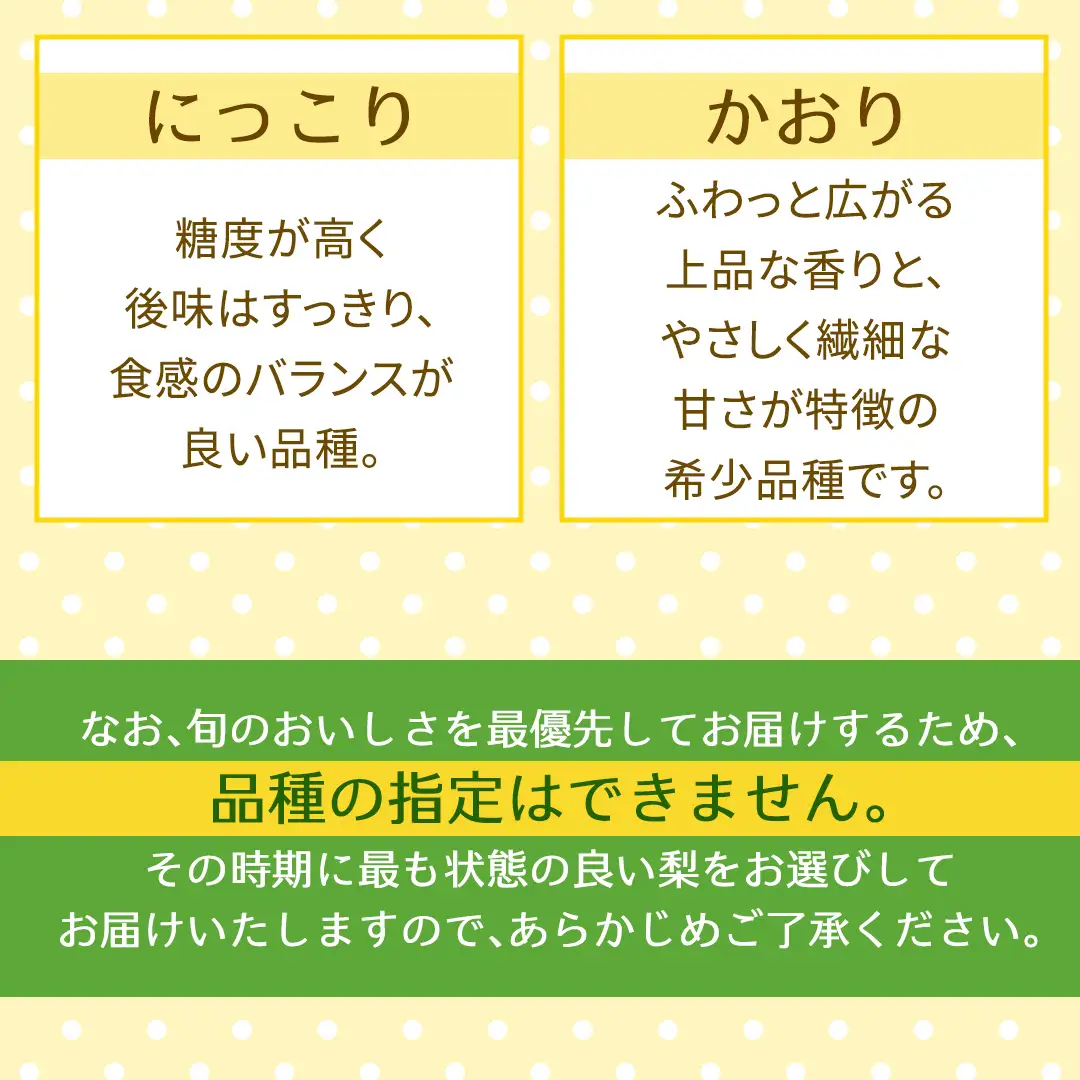 【定期便】3か月連続でお届け！ 旬の梨 おまかせ 約3kg（茨城県共通返礼品 [梨]：大子町産）