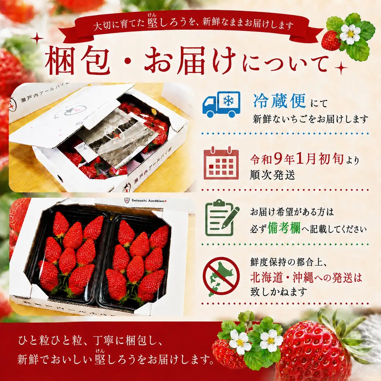 【令和8年度 先行予約】【年明け発送】堅しろう（けんしろう）480g【240g×2パック】