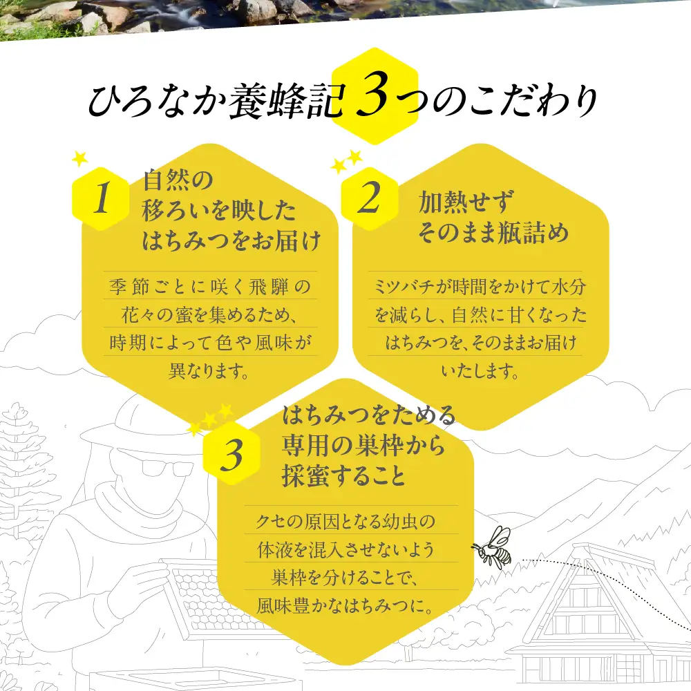 純粋はちみつ　奥飛騨の百花　90g×2パック | はちみつ 非加熱 はちみつ TG003