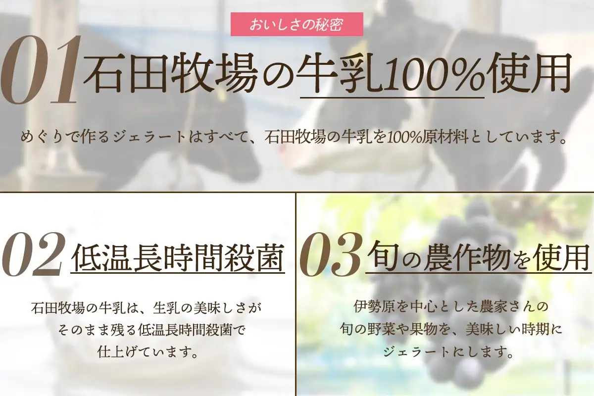 [ギフト] 石田牧場のジェラート屋めぐり おまかせ ジェラート12個セット [1223]