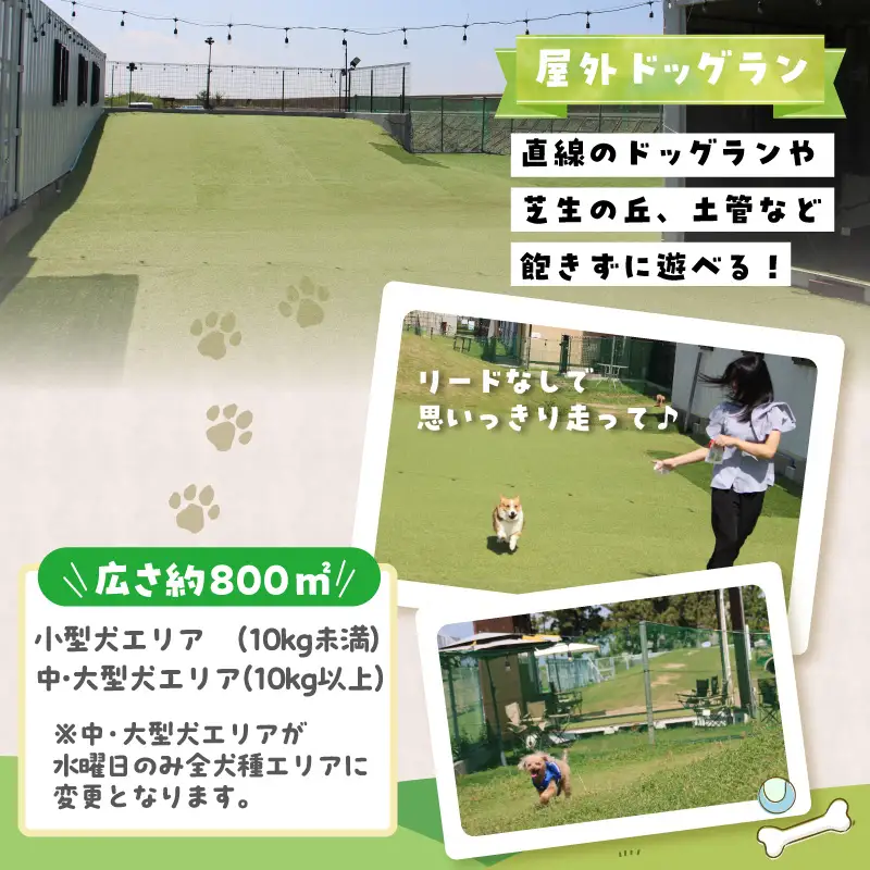 【TOWATERAメンバーズ】ドッグラン、ペットホテルなどをお得に利用できる「トワるん」会員入会＋ドッグラン使い放題【1頭】｜ペット 常滑市