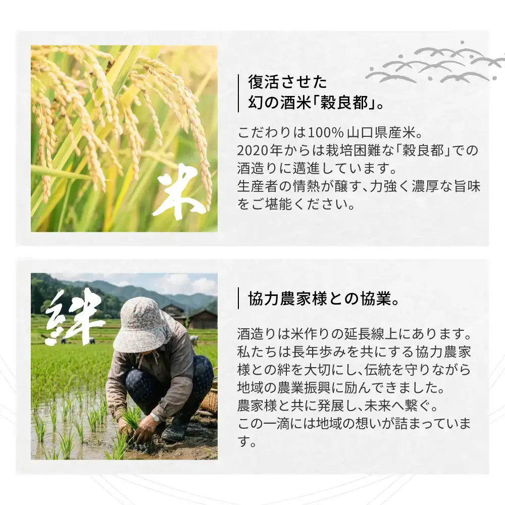 【防府の地酒】錦世界 飲み比べセットA 720ml×各1本 計5本 株式会社竹内酒造場 山口県 防府市 C-H04 日本酒 地酒 清酒 飲み比べ 辛口 純米 吟醸 宅飲み 家飲み 晩酌