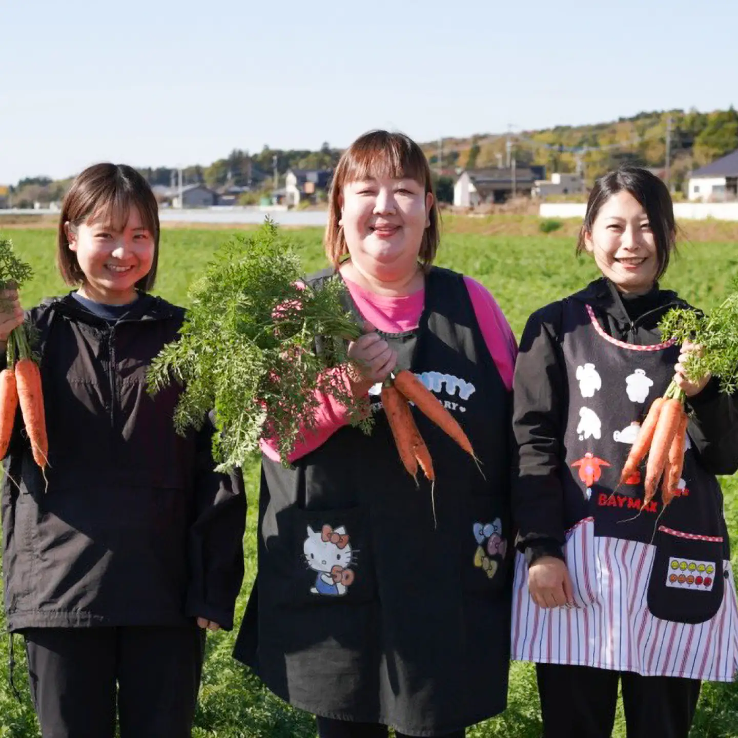 まゆみ農園のにんじんジュース 4本 にんじん BHCW005