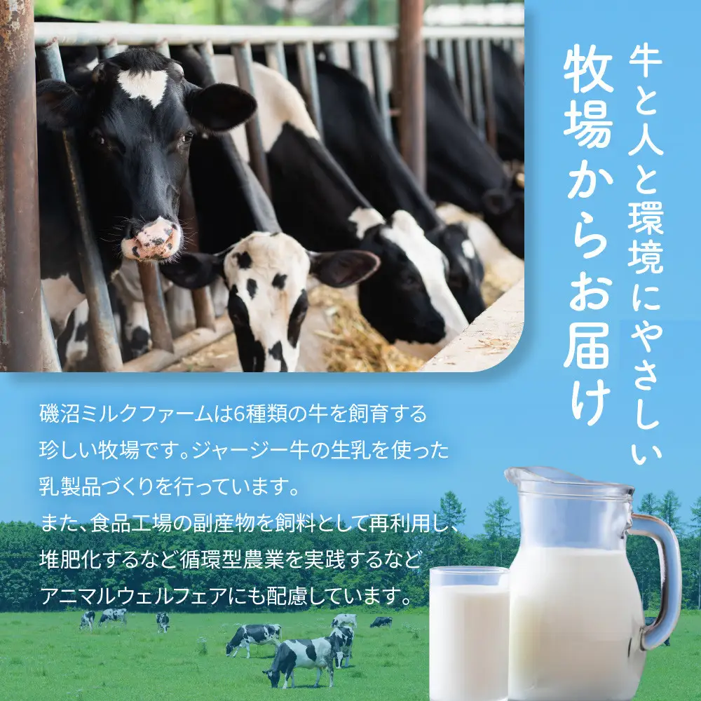 磯沼ミルクファーム　カップアイス10個セット（2種各5個）