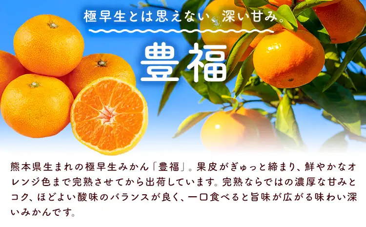 みかん 豊福 5kg 松本果樹園 《10月中旬-10月下旬出荷予定》 熊本県 苓北町 スイーツ デザート 果物 ミカン 蜜柑