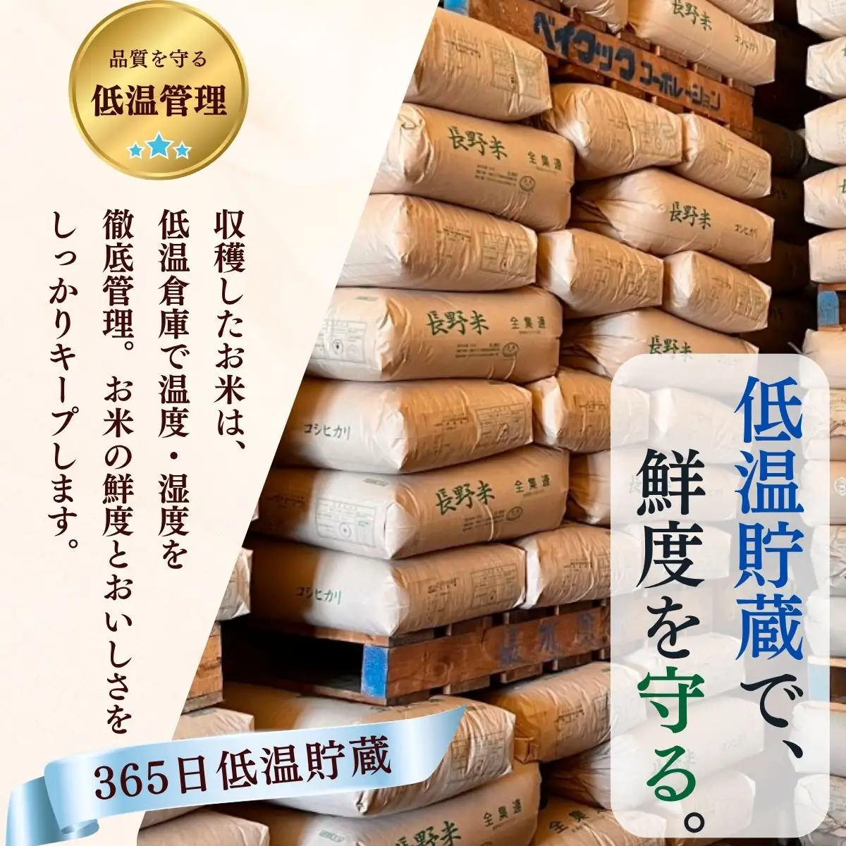 【令和7年産】黄金銀香 飯山産 コシヒカリ 精米 5kg（5kg×1袋）