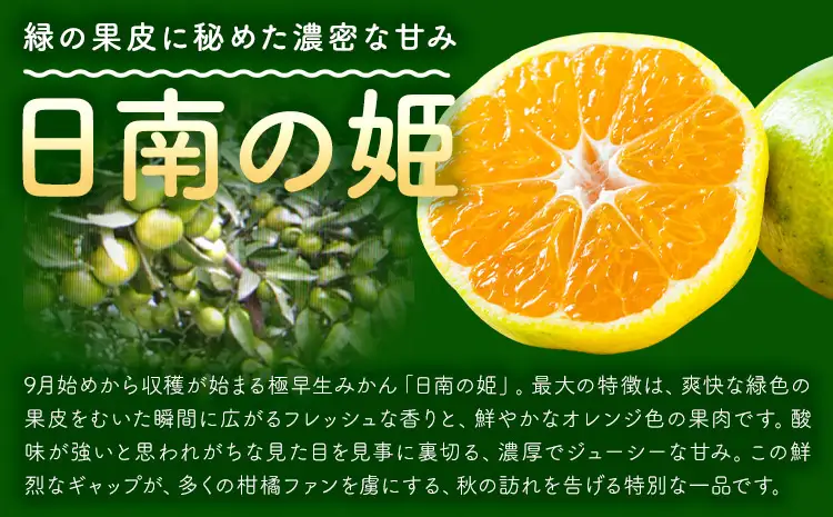 極早 生 みかん 夢っこ（日南の姫） 約5kg 《9月中旬-9月下旬出荷予定》果物 フルーツ ミカン 蜜柑 柑橘 生産者直送 産地直送 天草 苓北 送料無料 熊本県
