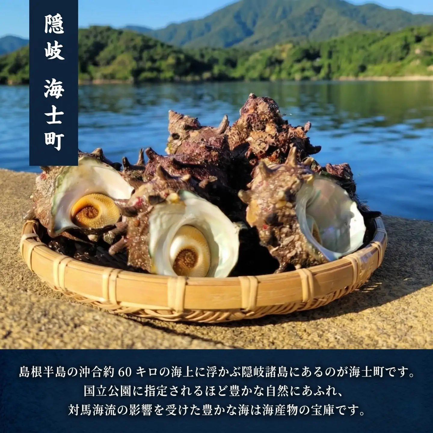 サザエ 12個 エスカルゴバター風 サザエ
